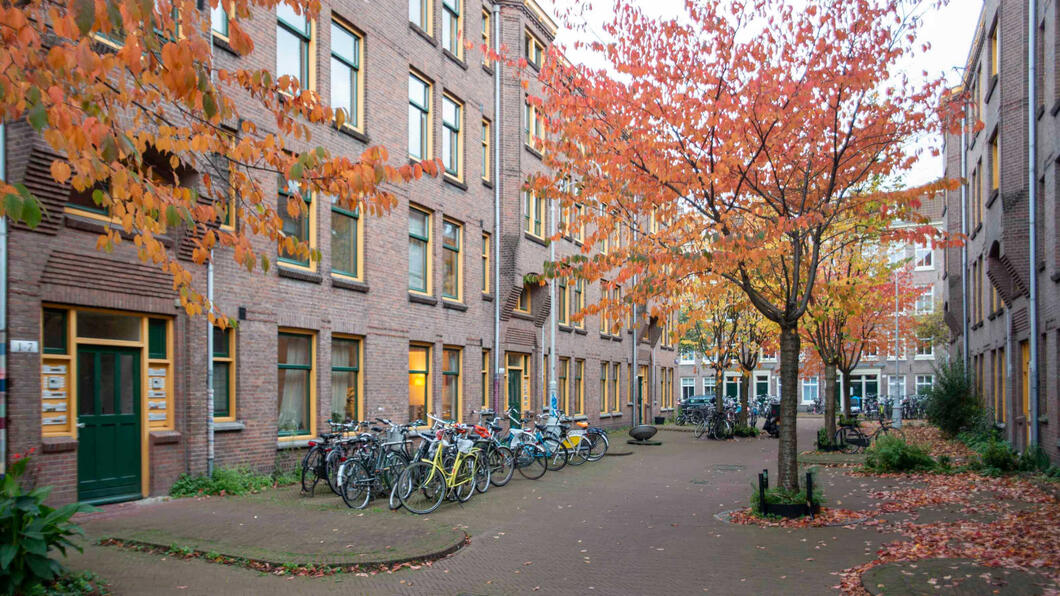 Woningen met bomen met rode herfstbladeren 