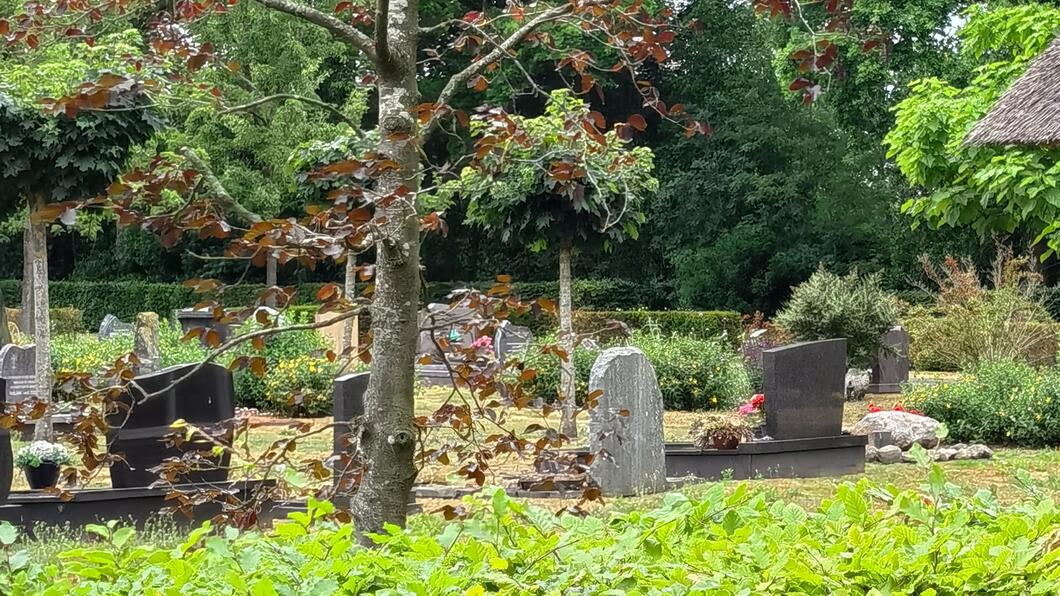 Begraafplaats van Vries. Op de foto zijn graven te zien met daarachter wat groen