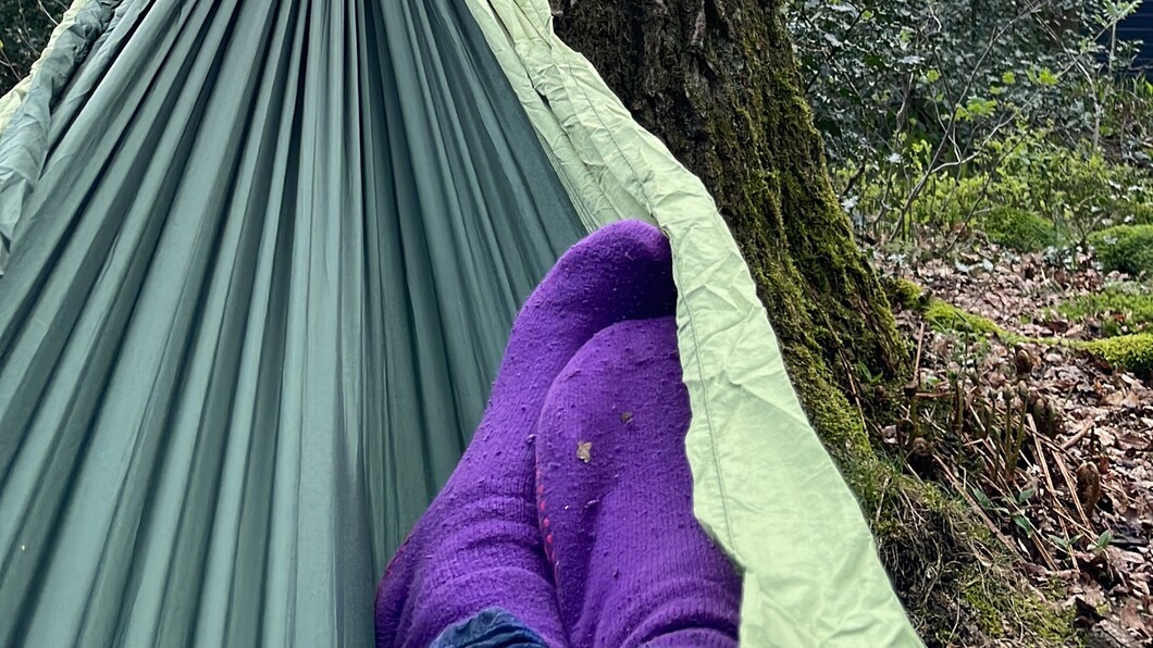 Een foto van iemand met paarse sokken in een groene hangmat 