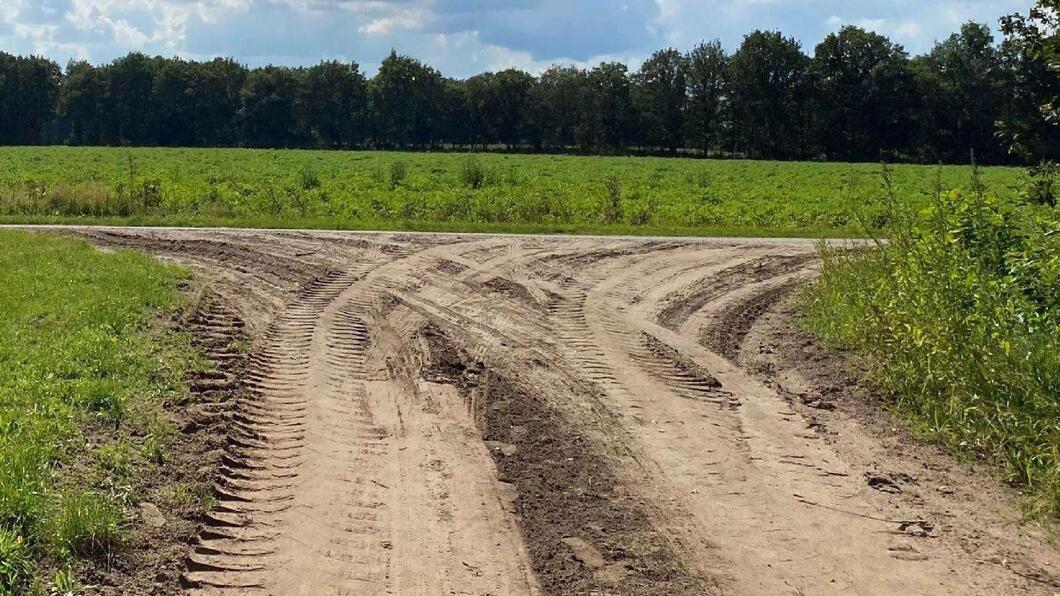 Een zandpad met natuur eromheen