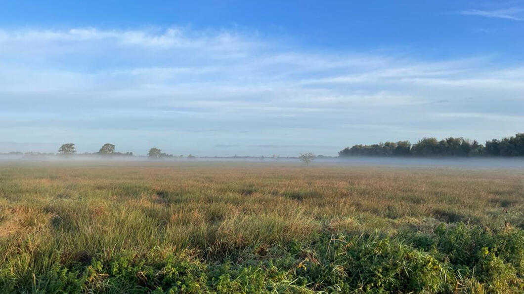 Polder Lappenvoort. Een polder met veen en biodiversiteit
