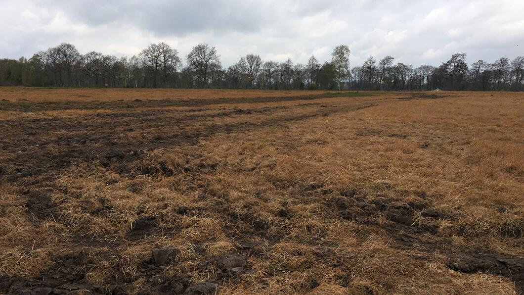 Weiland die geel is geworden door het gebruik van glyfosaat. Op de achtergrond zijn nog wat boompjes te zien