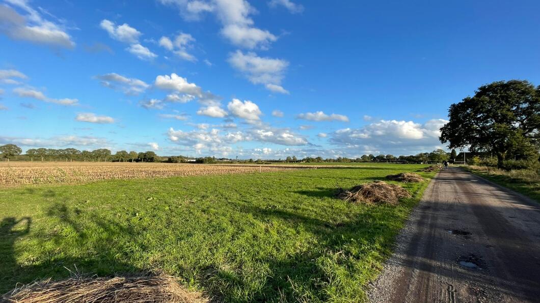 Een weiland bij het vliegveld. Veel groen met op de achtergrond een mooie blauwe hemellucht