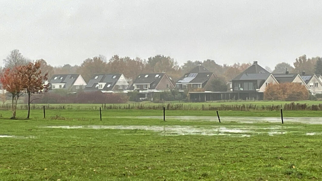 Een nat weiland in Spierveen