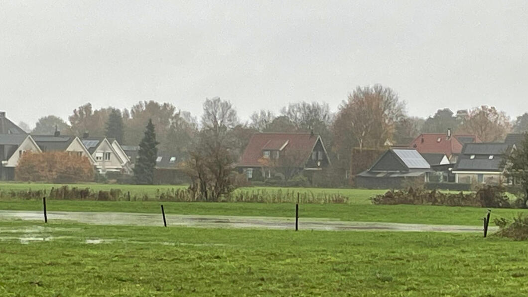 Een nat weiland in Spierveen