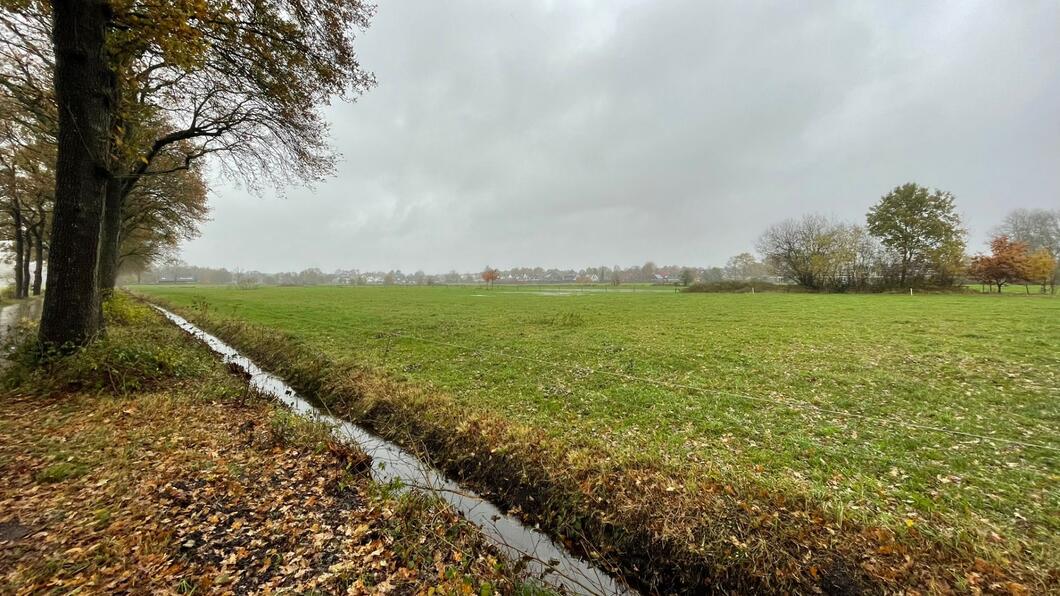 Een nat weiland in Spierveen