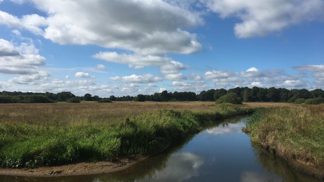 Drentsche Aa gebied. Een beekje met natuurland. Op de achtergrond is een heldere, blauwe hemel te zien met wat wolken
