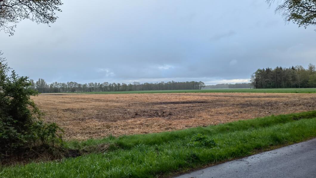 Het veld waar (mogelijk) de WVA komt te staan. Een geel (door glyfosaat) veld met daaromheen groen gras. Op de achtergrond zijn donkere wolken te zien