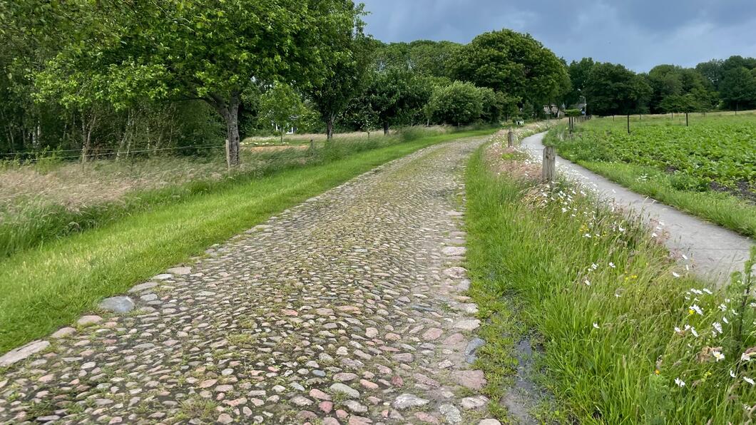Een groene berm met daarnaast een looppad met steentjes