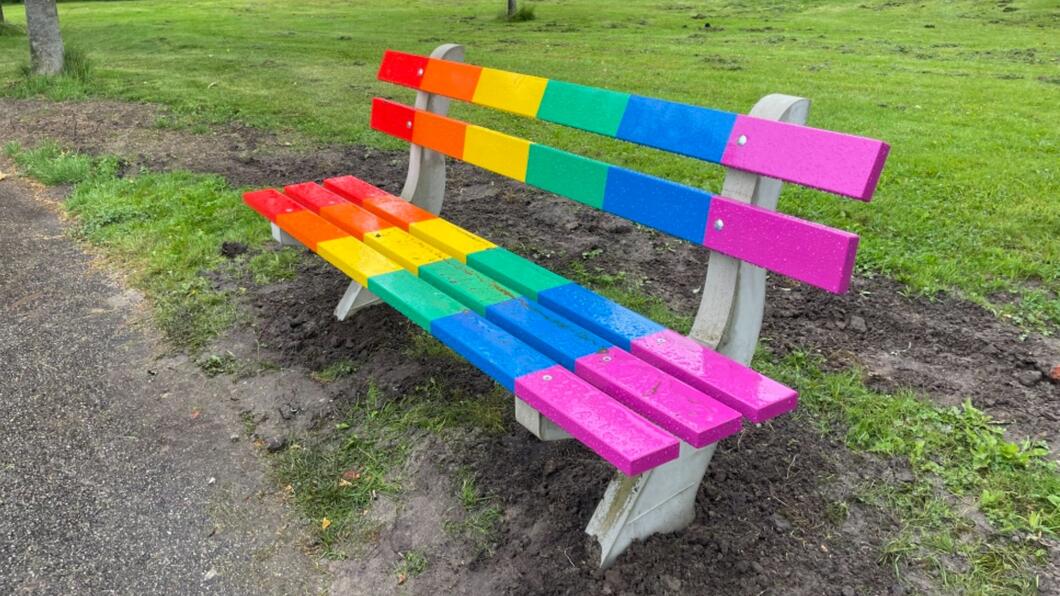 Bankje in haren welke is geschilderd in de kleuren van de regenboog