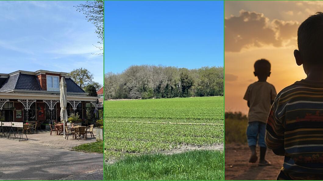 Drie foto's: Onder de Linden, een lelievelt in Vries en enkele vluchtelingen die kijken naar de ondergaande zon