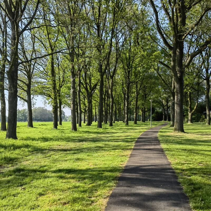 Natuur in Vries, gemeente Tynaarlo