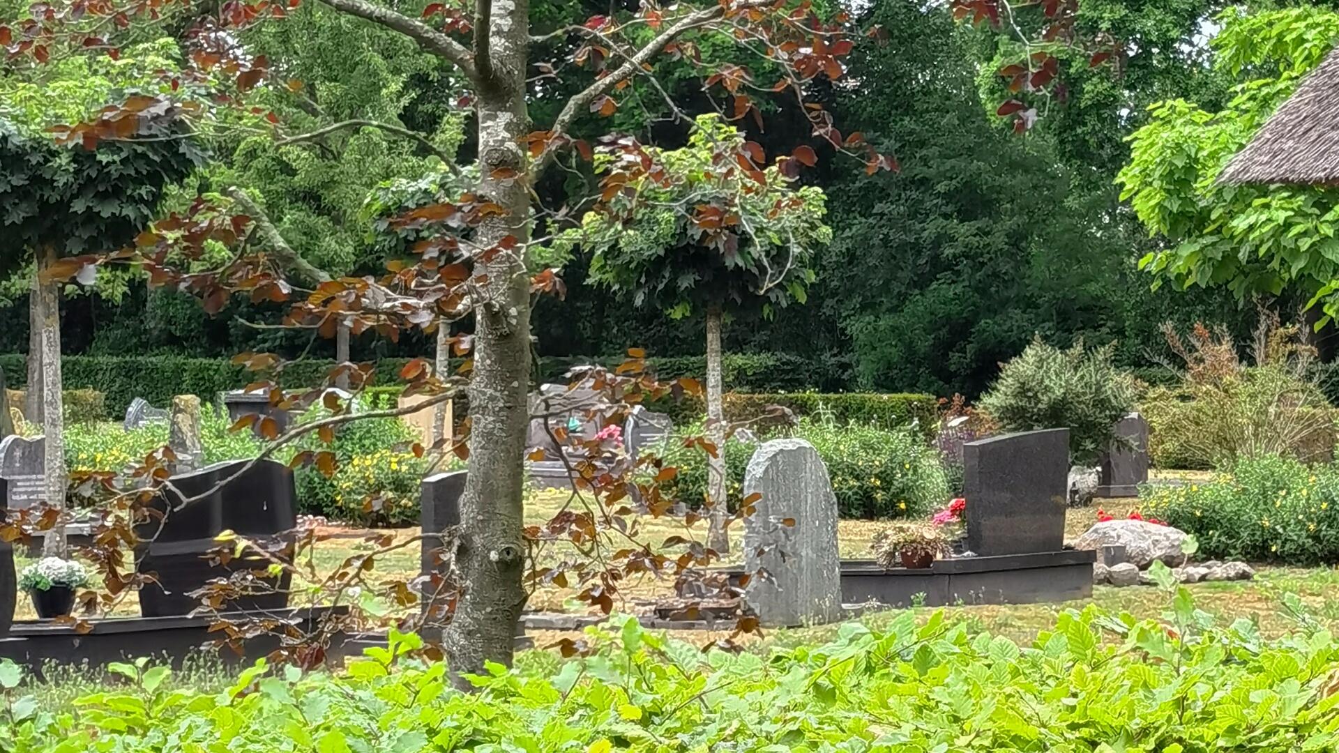 Begraafplaats van Vries. Op de foto zijn graven te zien met daarachter wat groen 