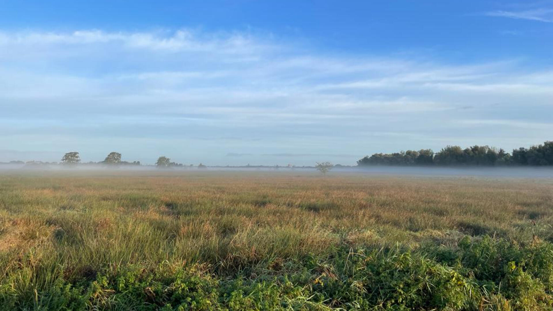 Polder Lappenvoort. Een polder met veen en biodiversiteit