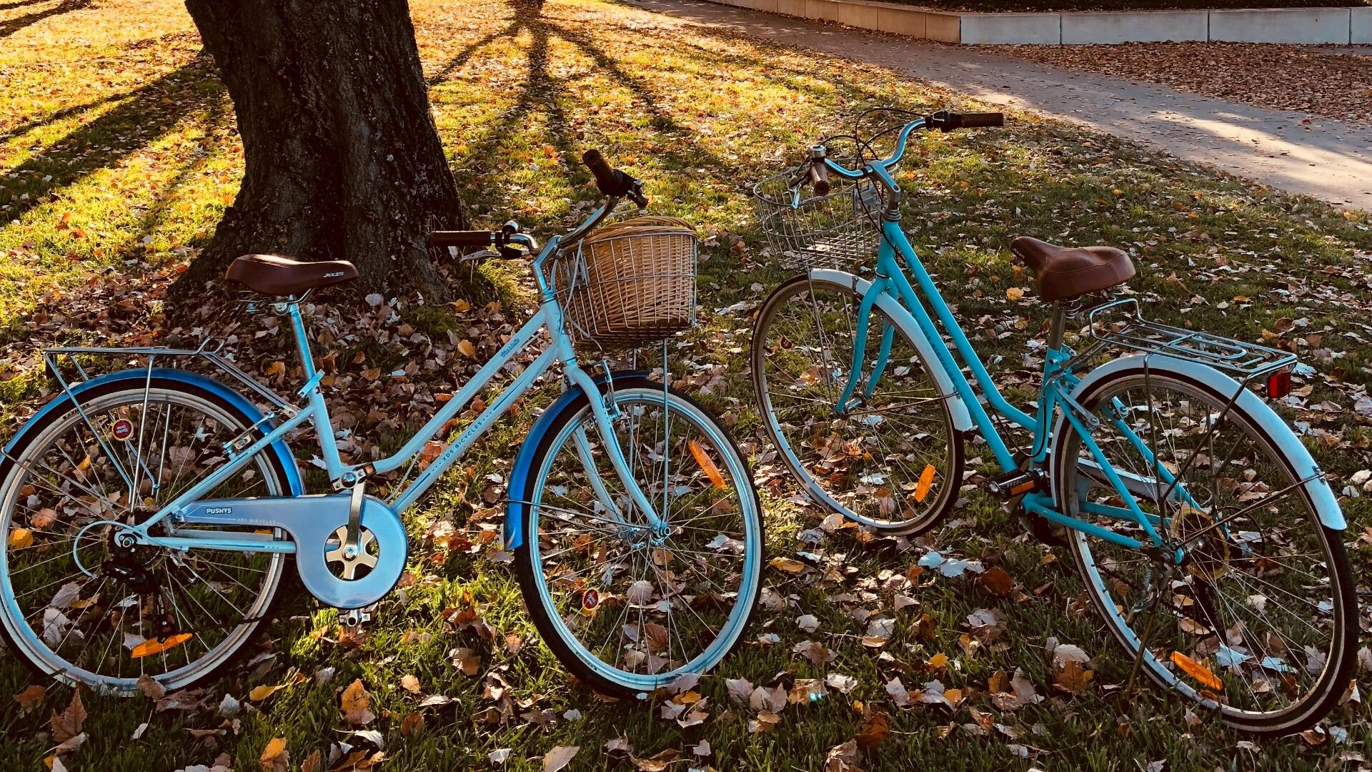 Twee lichtblauwe fietsen op een stuk gras. Op het gras liggen bruine bladeren en achter op de foto staat nog een boom