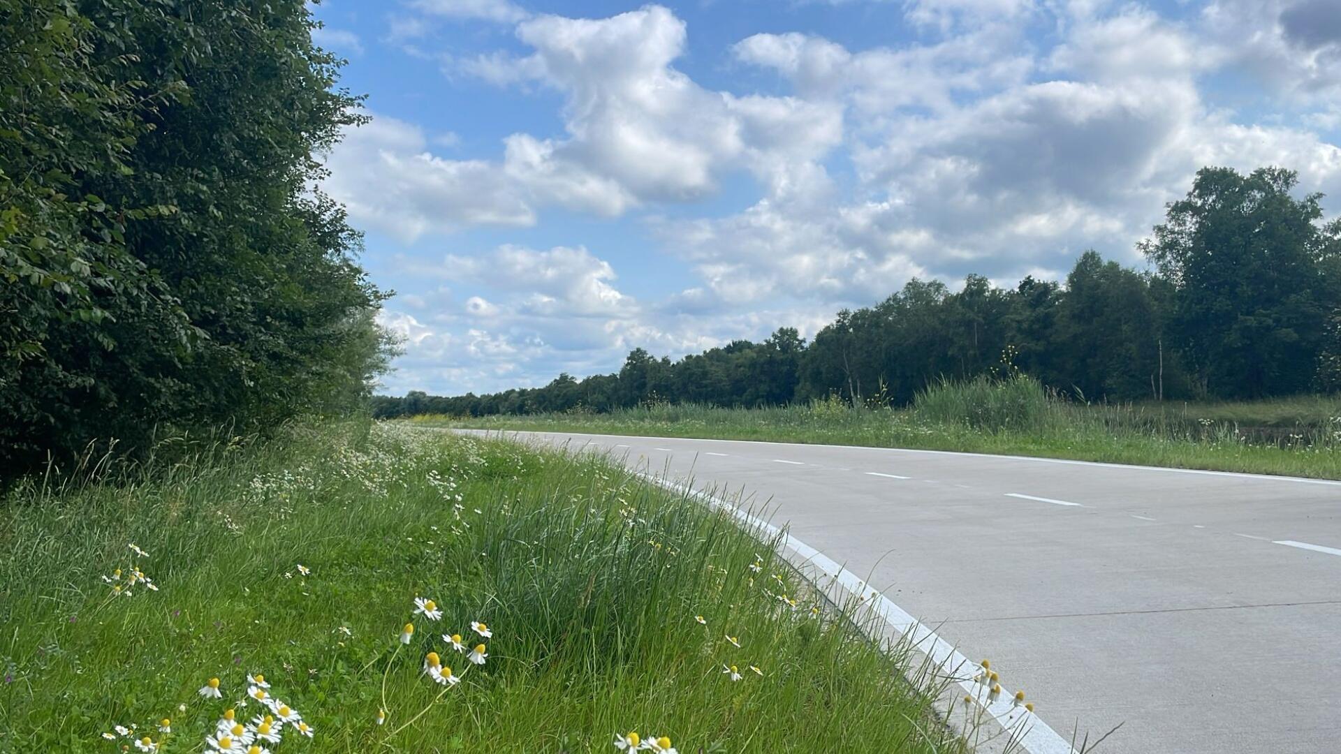 Een fietspad met daarnaast een grasveld. 