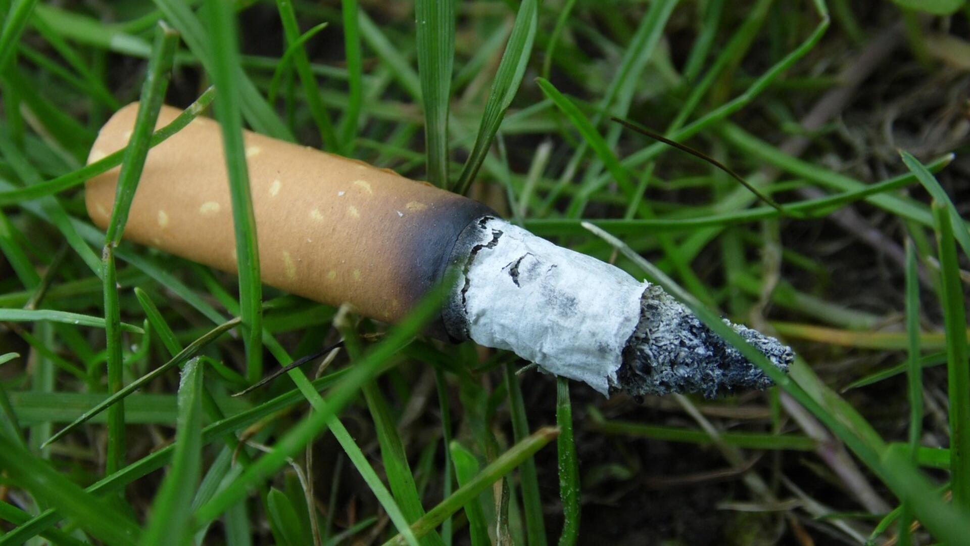 Een sigarettenpeuk in het gras